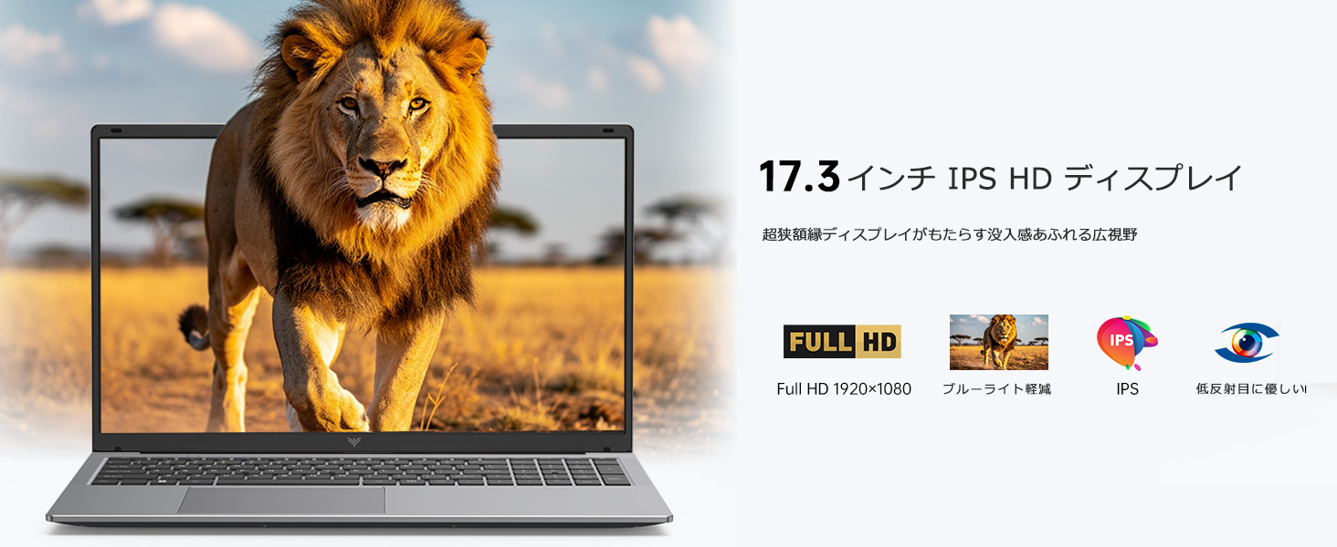 Amazon.co.jp: ACEMAGIC 17.3インチ ノートパソコン AMD Ryzen 4300U